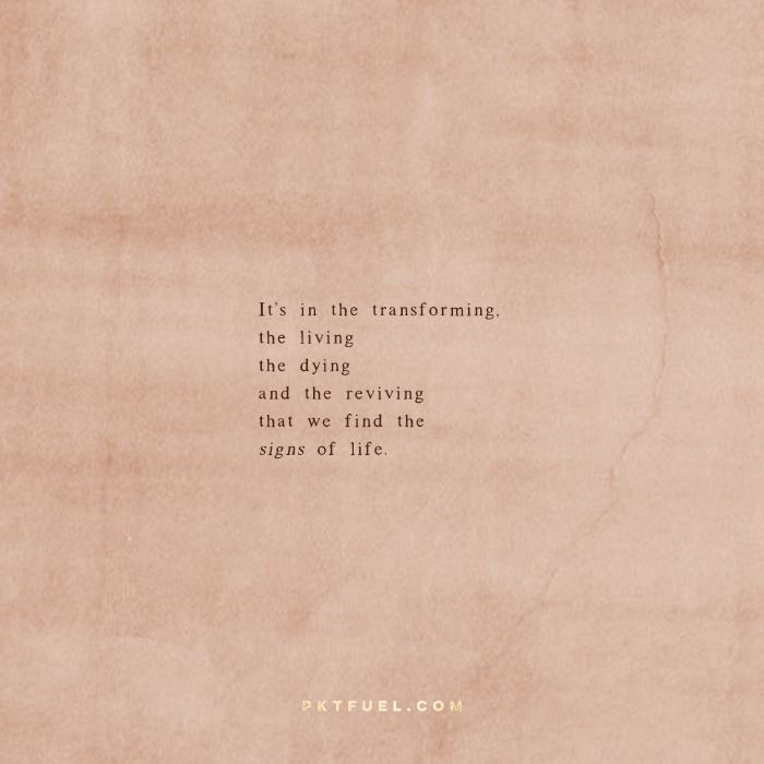 The Absence of Proof – Signs Series – Part 5