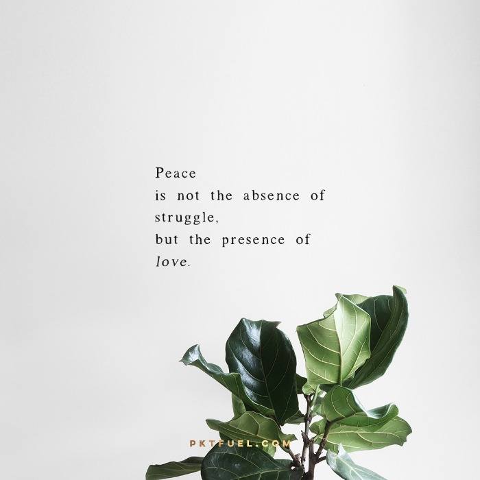 The Absence of Struggle – Affirmation and Action Series – Part 5