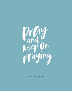 Will He Find Faith – Widows and Judges Series – Part 5 - Pocket Fuel on Luke 18:8