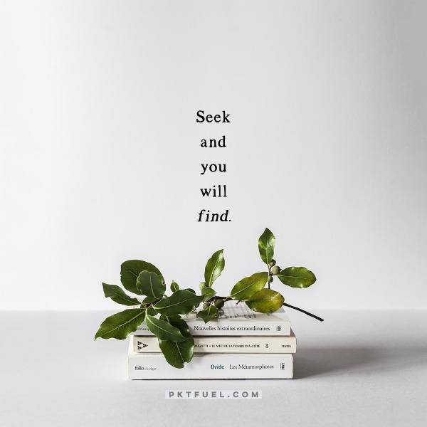 Seek and You Will Find – The Gift of Expectation – Part 5