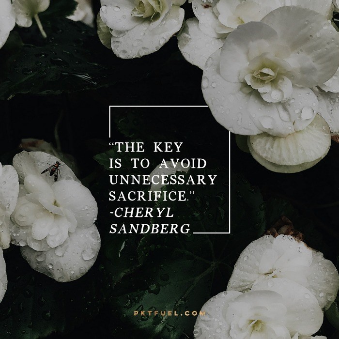 Your Dear Son Isaac – The Sacrifice and Sons Series – Part 3