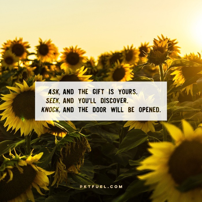 Ask, Seek, Knock and Never Stop – The Seekers Series – Part 3