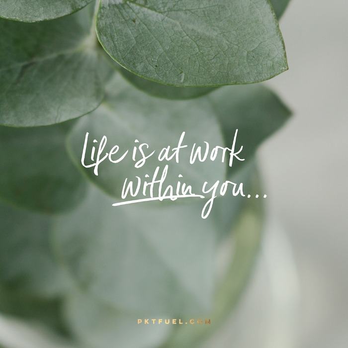 World Repair Starts Within Each of Us – The Journey Series – Part 3