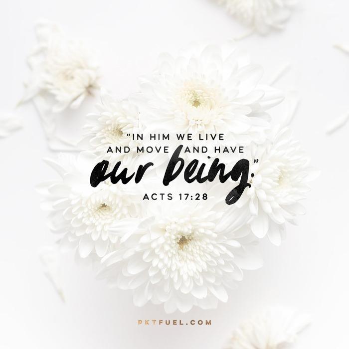 Pretend All Is Well – The Failure Series – Part 5