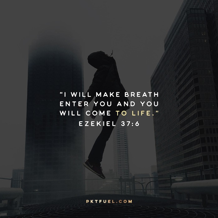 These Bones Live – The Holy Week Series – Part 7