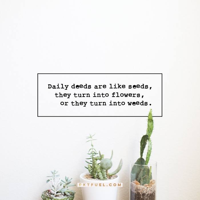 What a person plants, he will harvest – Galatians 6:7