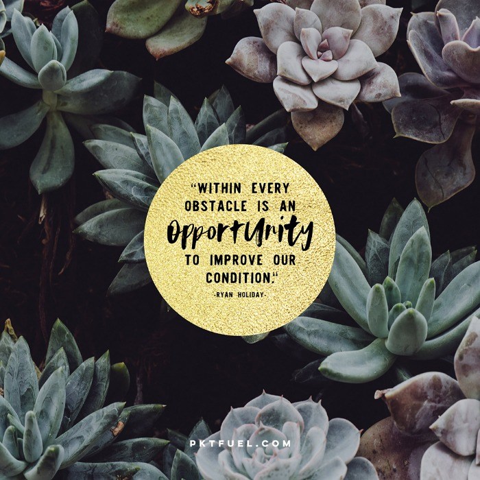 The Obstacle in the Path – The Seed Series – Part 5