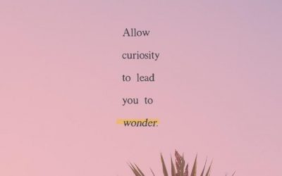 Did Curiosity Kill The Cat? – The Curiosity Series – Part 1