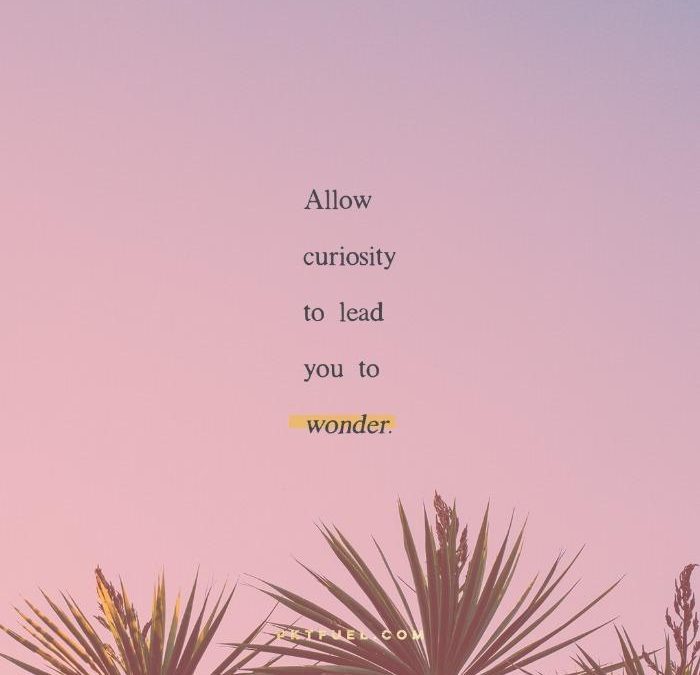 Did Curiosity Kill The Cat? – The Curiosity Series – Part 1