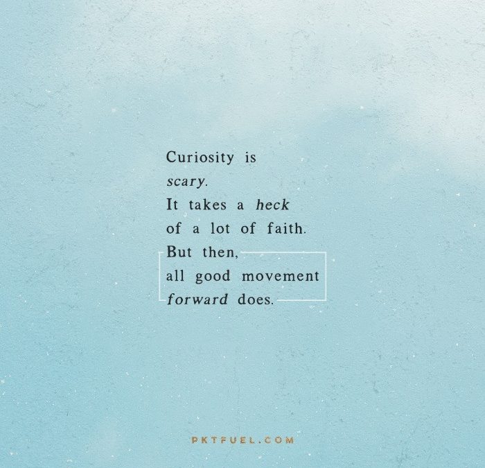 Every Persistent Seeker – The Curiosity Series – Part 5